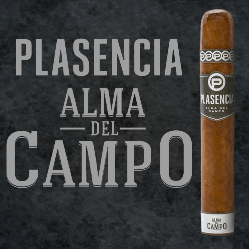 plasencia cigars